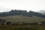grafika